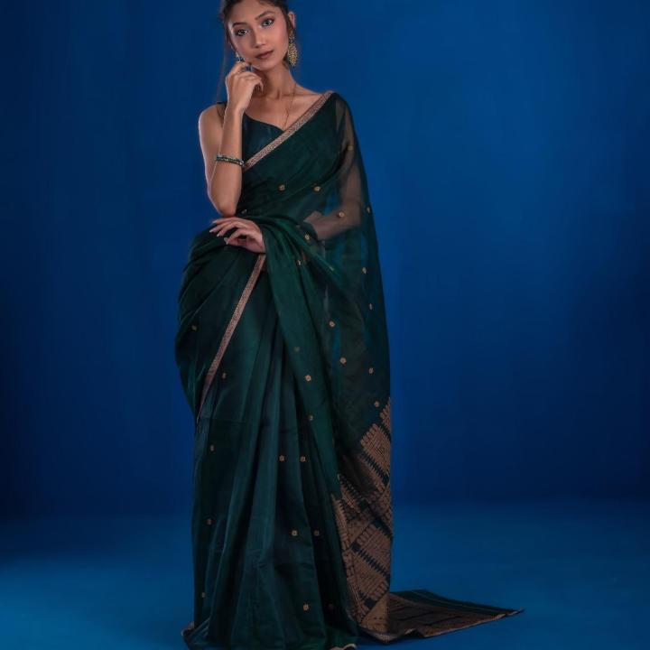 LOLITA Saree